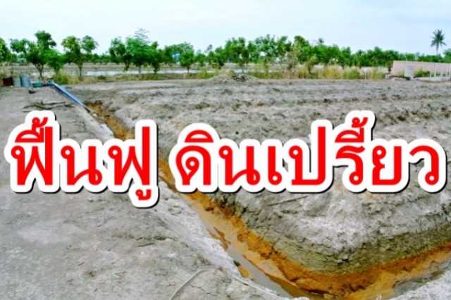 ตัวอย่าง การฟื้นฟูพื้นที่ดินเปรี้ยว ตามพระราชกระแสรับสั่ง ร.9