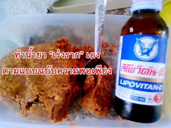 ทำน้ำยา “เร่งราก” เองตามแบบฉบับความพอเพียง