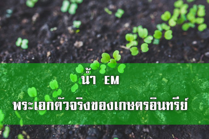 EM พระเอกตัวจริงของเกษตรอินทรีย์
